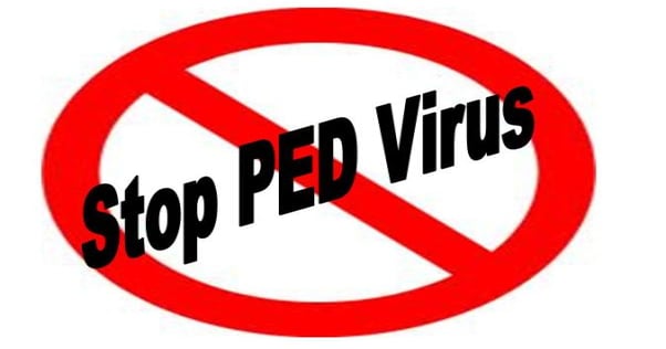 Iowa State Develops New PEDV Diagnostic Test