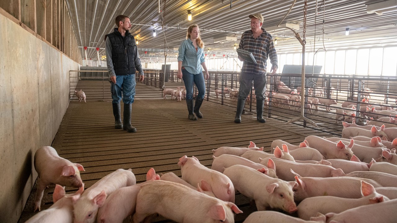 NPB Real Pork Walking through the Finisher