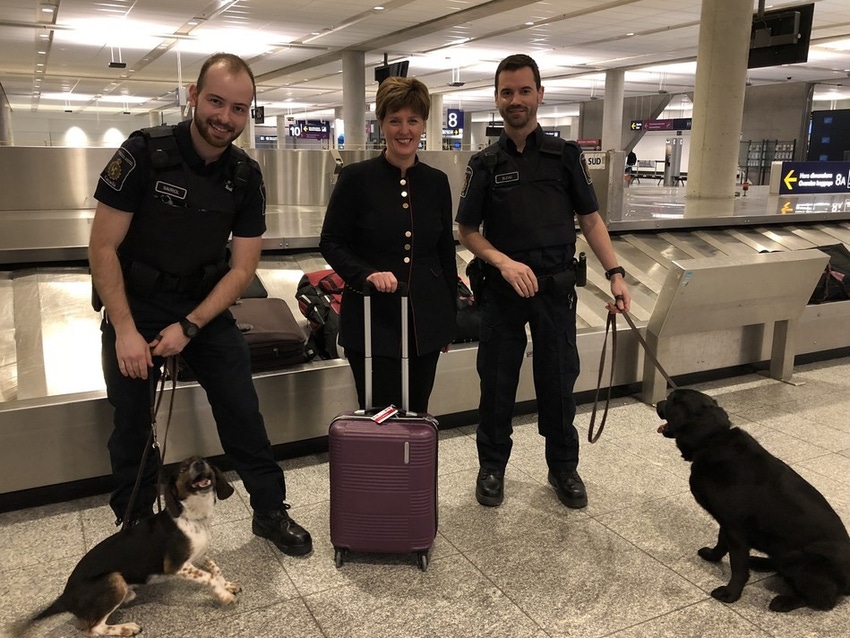 CFIA detector dog.jpg CFIA detector dog.jpg