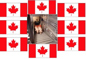 Canada's Hog Traceability Program Regulations Put Into Place