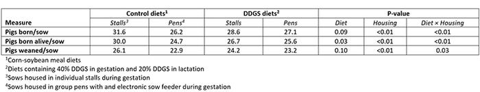 Table 3: Interactive effects of feeding diets containing distillers dried grains with solubles and housing systems on total number of piglets born, born alive and weaned for three reproductive cycles (adapted from Li et al., 2014)