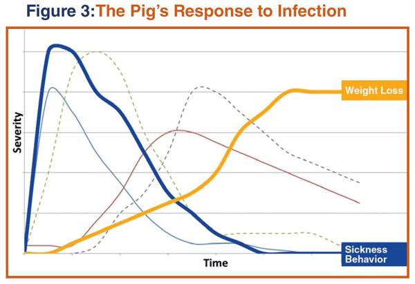 Improving Sick Pig Management