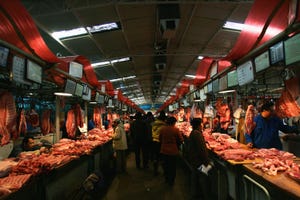 Chinese attempt to crack pig cycle with new pork price index