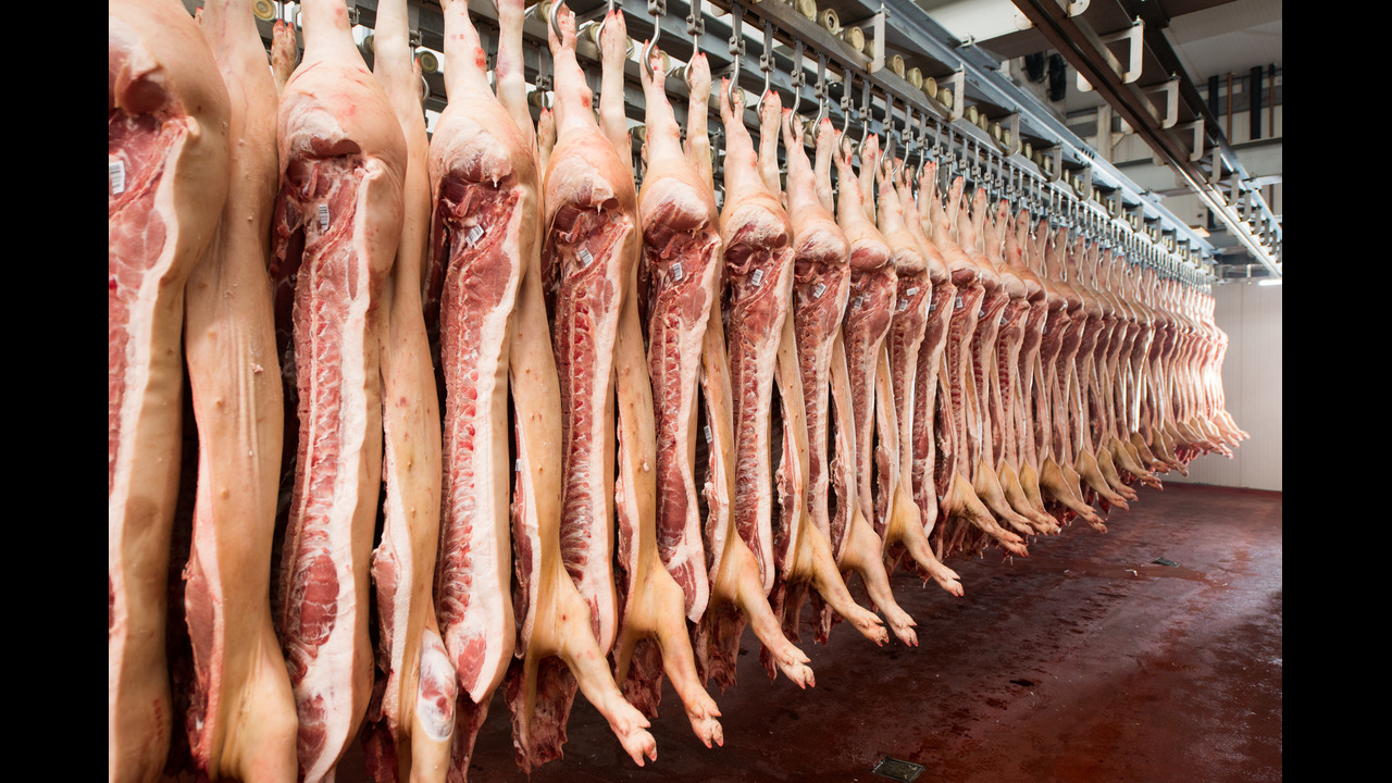 Number of pork packing plants up, total capacity not up much