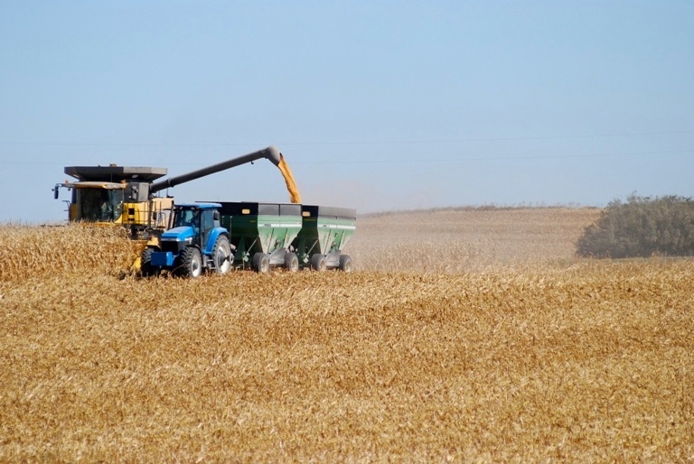 USDA Forecasts Lower Crop Yields, Higher Prices