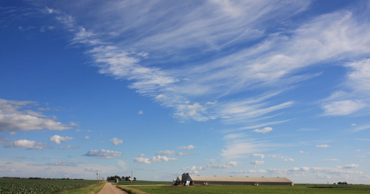 APHIS eases Iowa pseudorabies restrictions in 5-mile zone