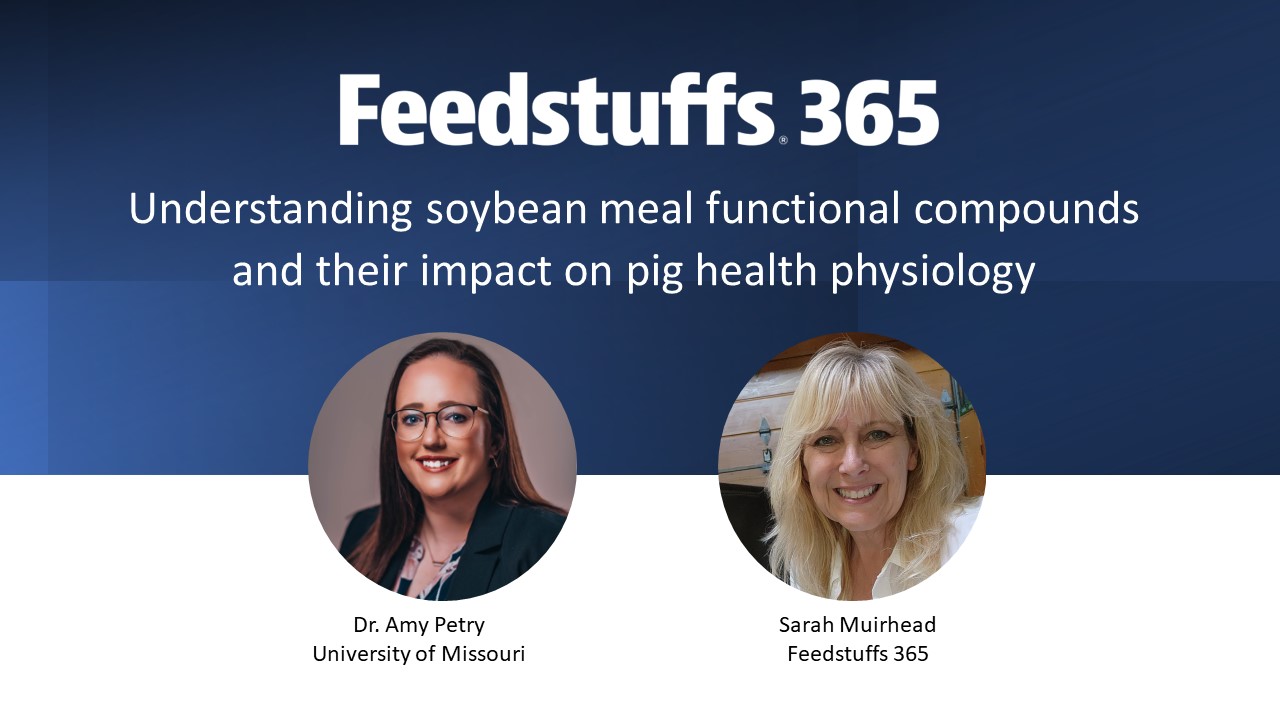 Understanding soybean meal functional compounds and their impact on
pig health physiology