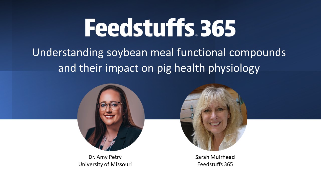 Understanding soybean meal functional compounds and their impact on pig health physiology - Vimarsana News