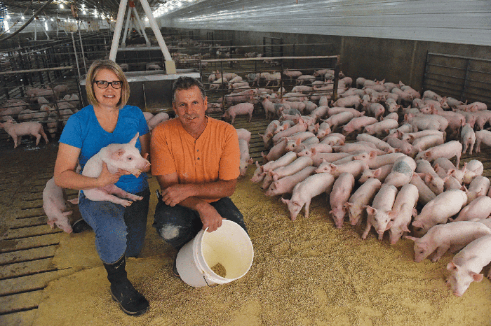 Peggy and Brad Greenway are among the 150 Pipestone independent producers who signed up to take part in the Pipestone Antibiotic Resistance Tracker program. 