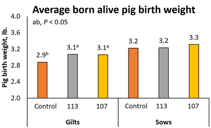 Figure 2: Effect of pre-farrow feeding strategy on average piglet birth weight. 
