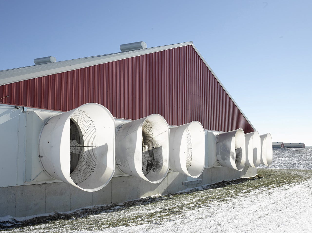 Swine pathogen activity guides winter disease prep