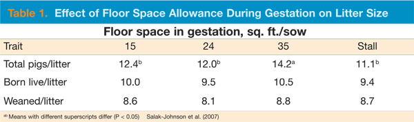 Table-1-Effect-of-floor-space-allowance.gif