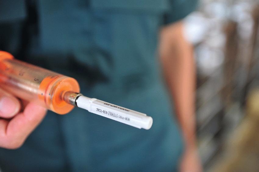 veterinarian with a syringe 