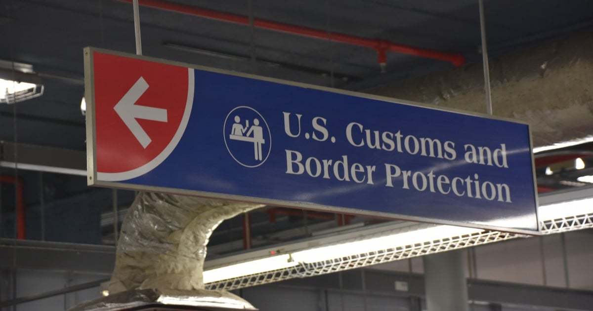 CBP intercepts monkey, 125 pounds of illegal meat at O’Hare