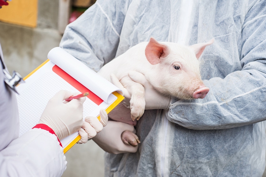 FDA proposes method to obtain animal antimicrobial sales data