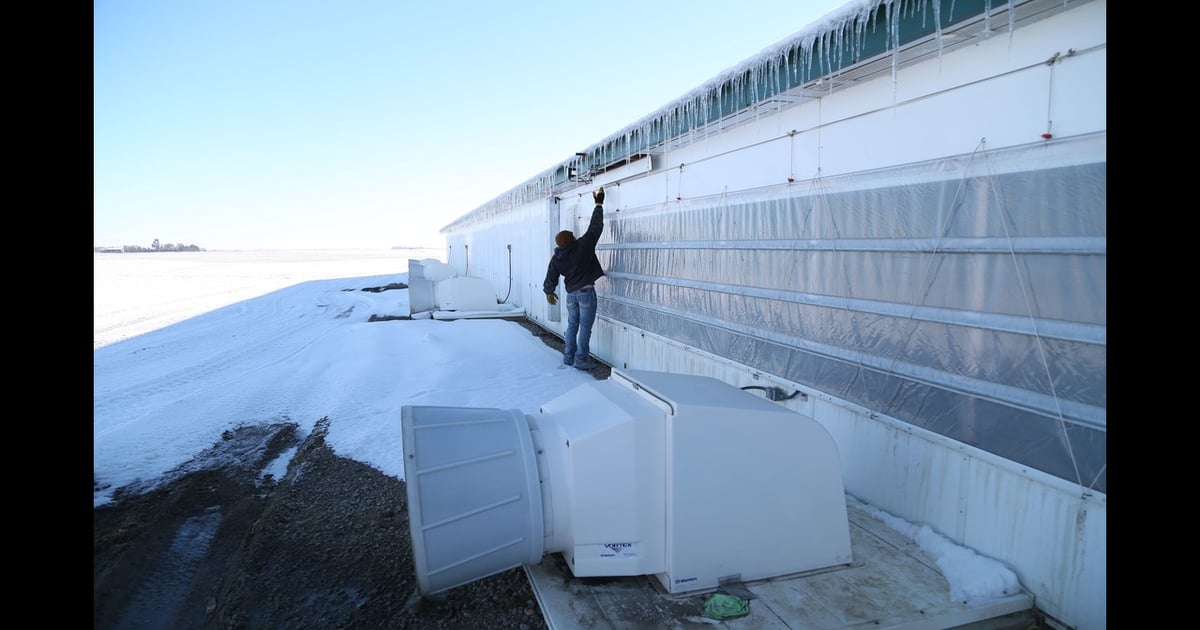 External Biosecurity in a Wean-to-Finish Facility