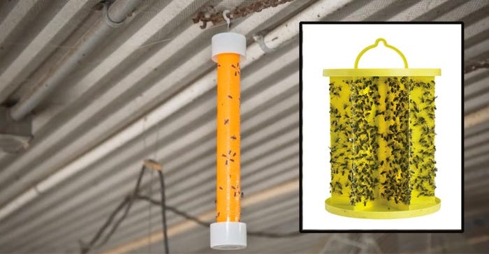Sussex professor calls for sticky fly traps to be regulated, in