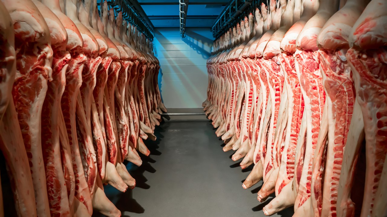 Would cold storage for pork provide a buffer to trade disruptions?