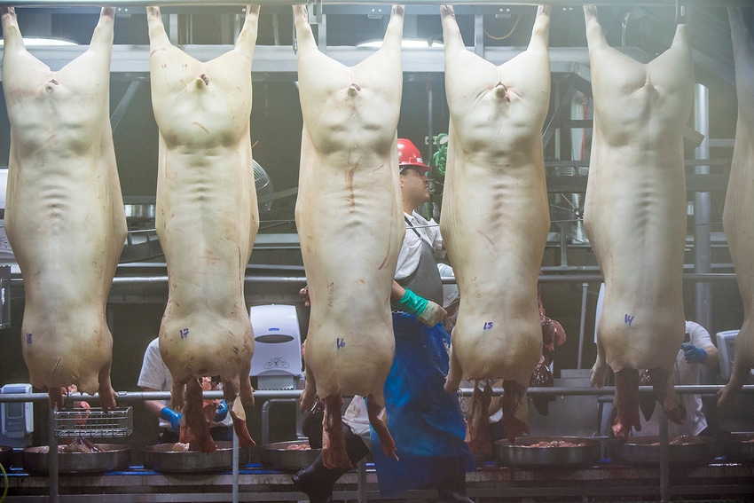 USDA announces proposed elimination of redundant hog carcass cleaning rule