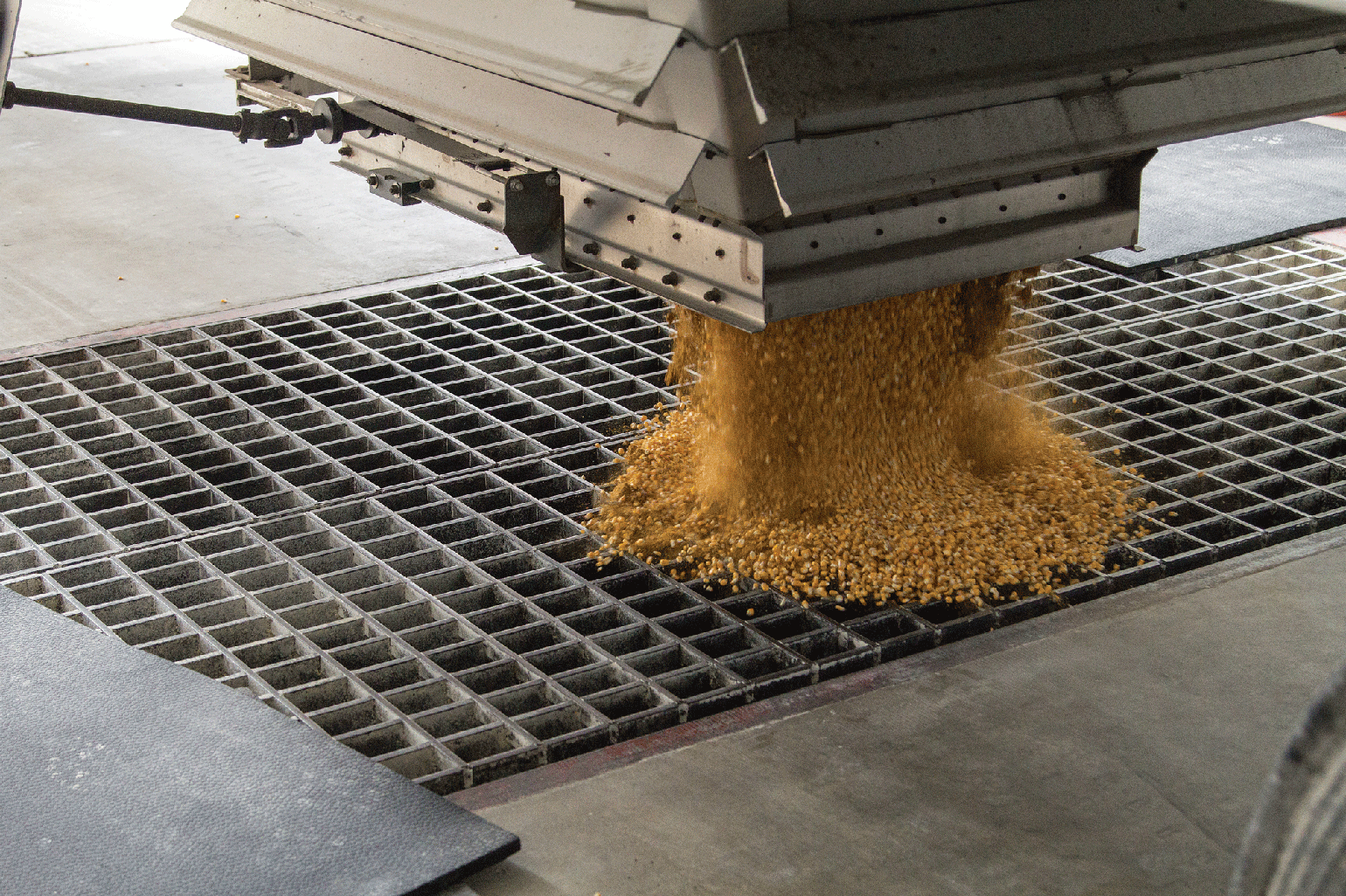 Feed mill study highlights need for continued biosecurity - Vimarsana News