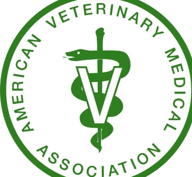 Veterinary Group Reaffirms Support for Antibiotic Use