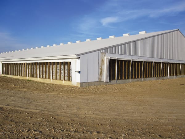 swine barn filtered ventilation system