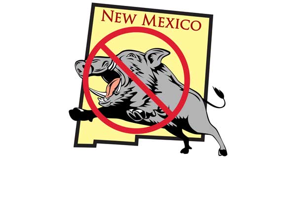 Betting on Feral Pig Eradication in New Mexico