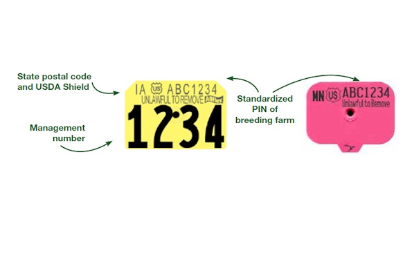 Sow Packers to Begin Requiring Premises ID Tags in 2015