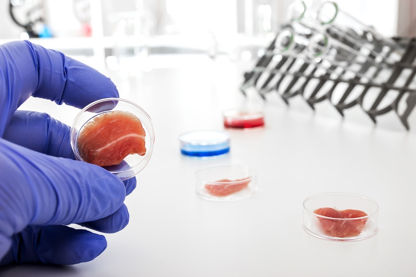 USDA, FDA set date to discuss cell cultured food
