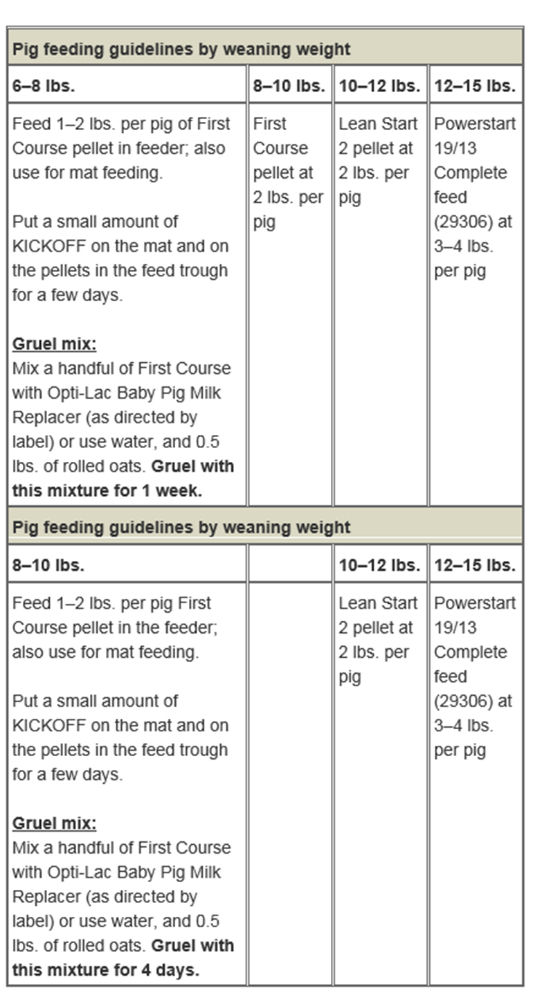 Nursery strategies to improve mortality and create more full-value pig