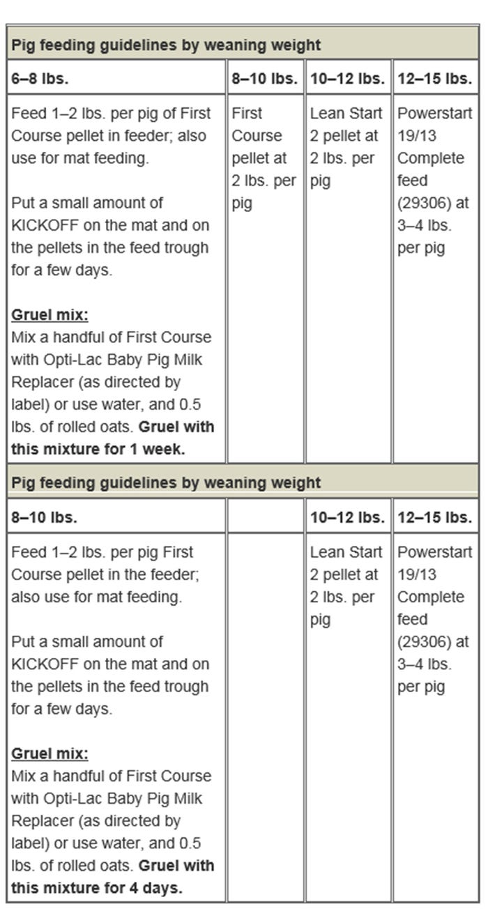 NHF-Hubbard-gruel-feeding-guidelines.jpg