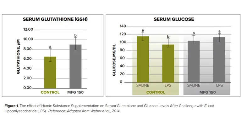 serum glutathione levels Figure 4 is an aging-related metabolic signature in the mouse kidney Reduced Glutathione suppresses Oxidative Stress