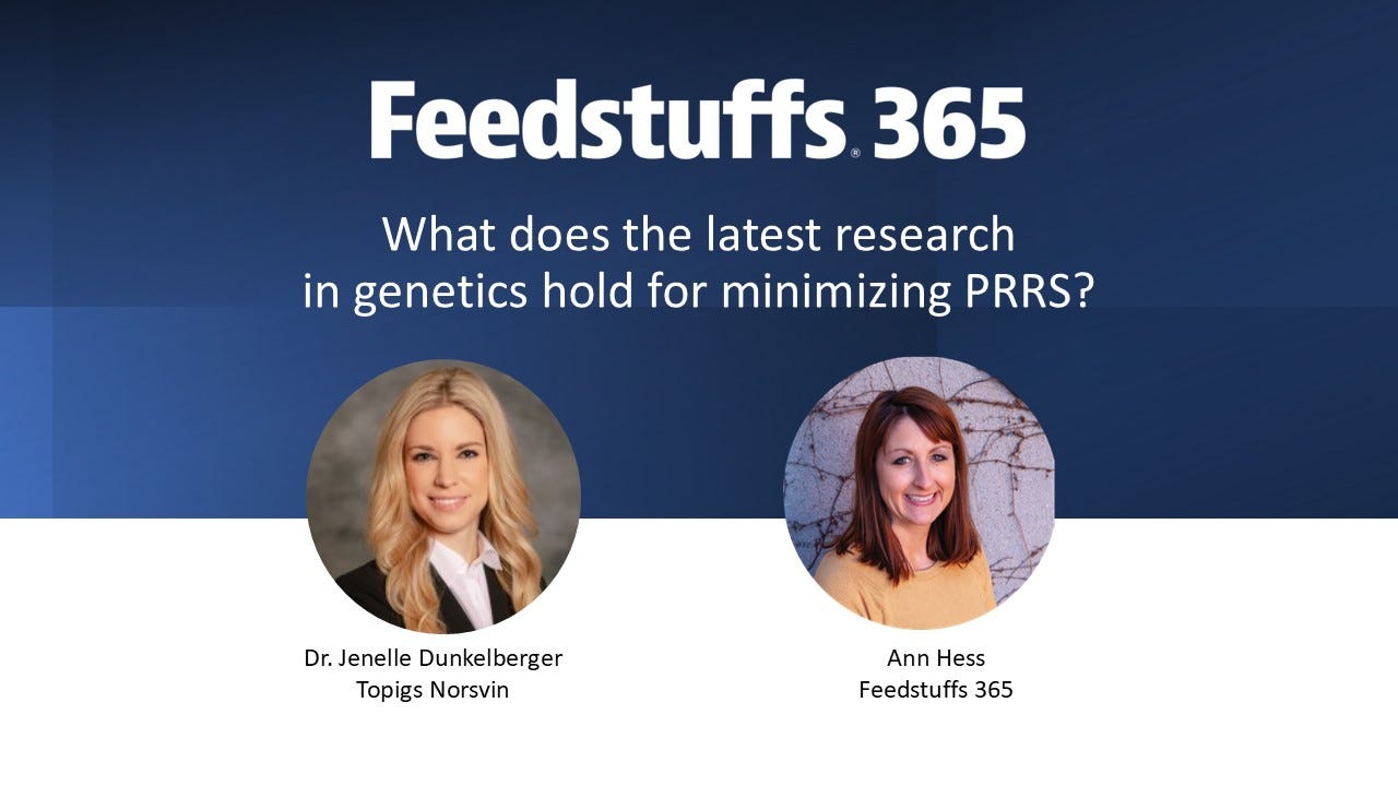 What does the latest research in genetics hold for minimizing PRRS?
