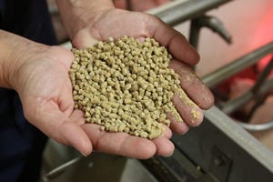 Researchers compare pelleting diets containing Dakota Gold and conventional DDGS