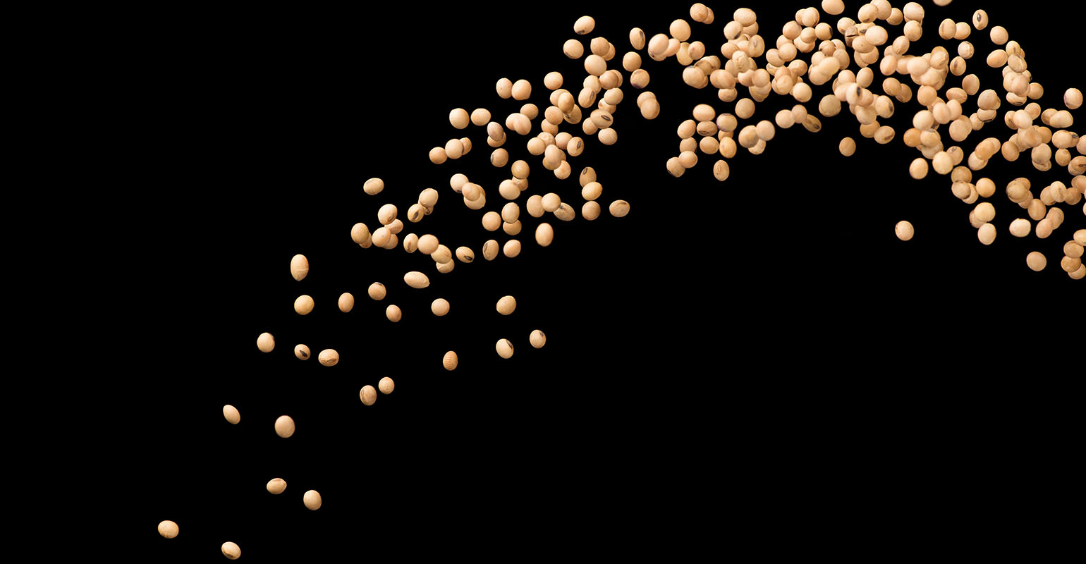 Rapid expansion of U.S. soybean processing capacity risks overbuild - Vimarsana News