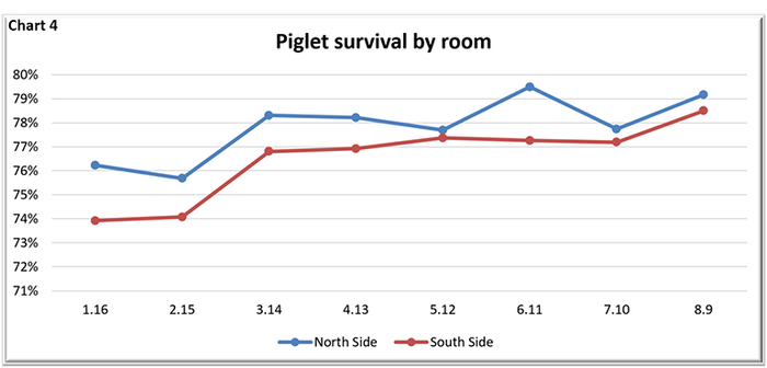  Piglet survival by room