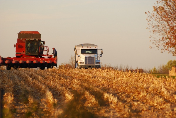 Farmer sentiment weakens amid rising costs