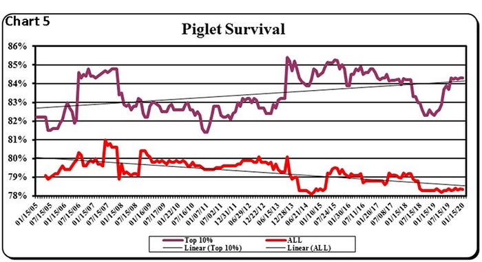 Chart 5: Piglet survival 