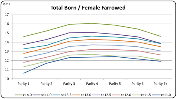 Does gilt performance dictate farm success?