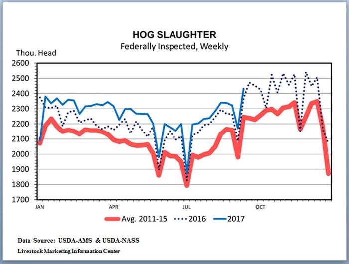 NHF-Plain-091817-Hog-slaughter.jpg