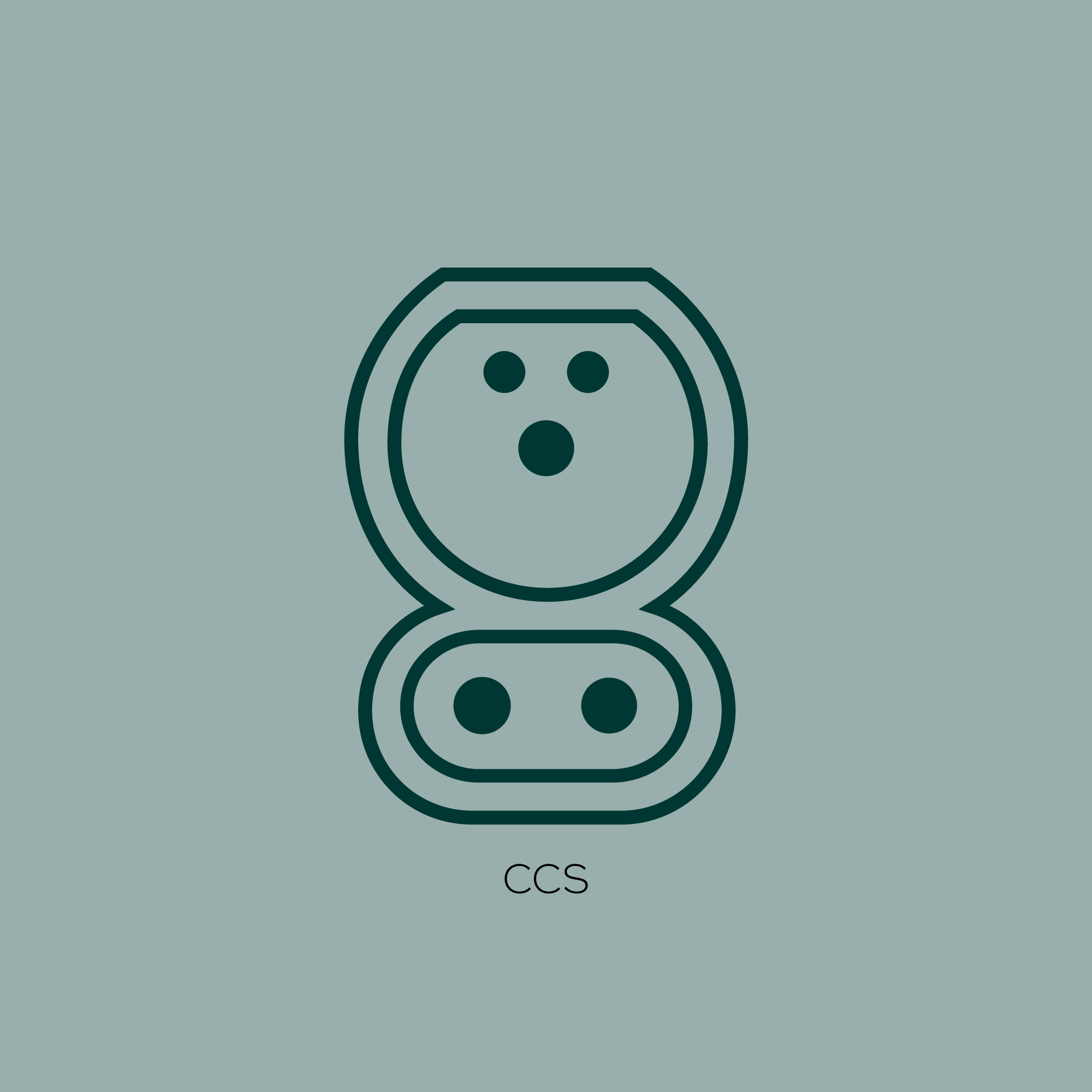Illustration af CCS stik
