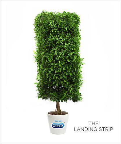 DIE LANDEBAHN: DER LANDING STRIP