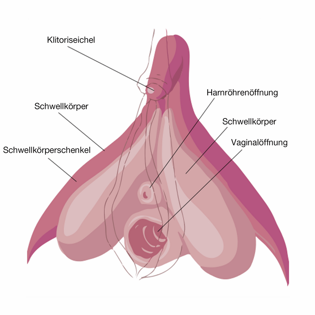 Sex Entdecken