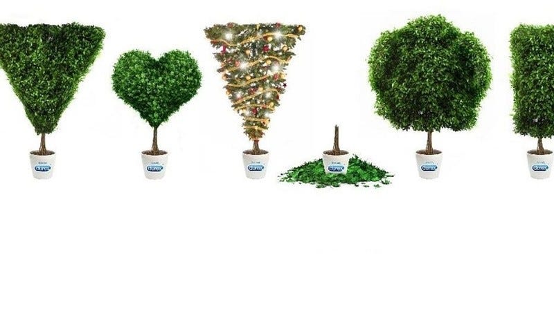 Lady Gardening: 6 Pubic Hair Styles For Women