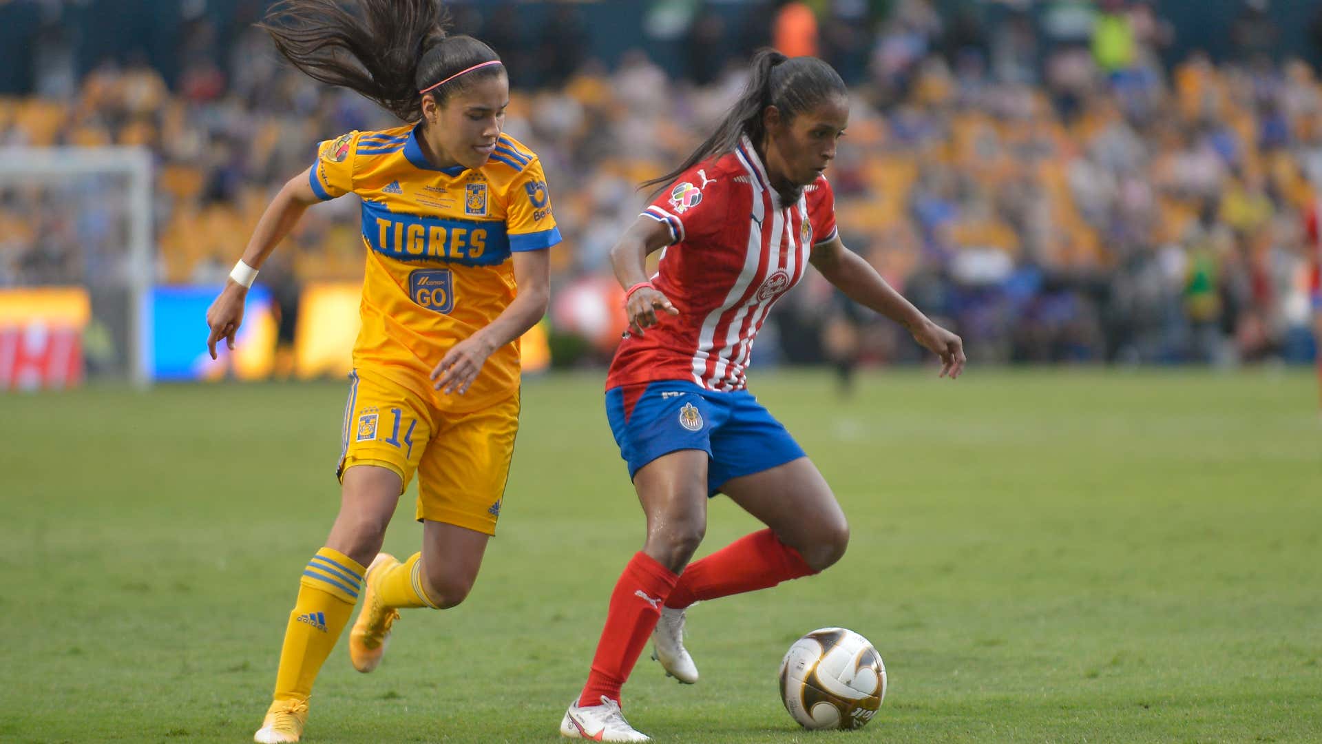 We Want Liga Mx Femenil To Be The Best League In The World League Chief Bernardez On Ambition Salaries Signing A Uswnt Star Goal Com