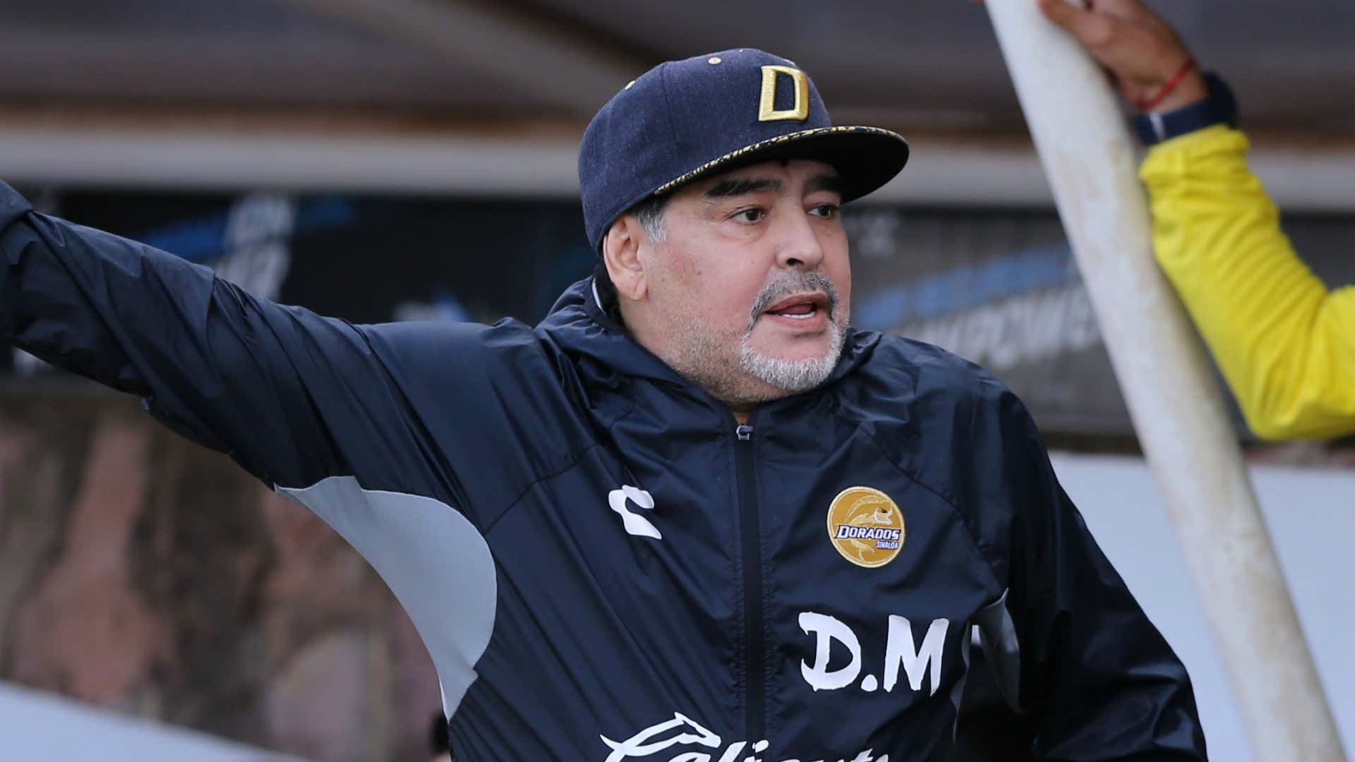 Diego Maradona Dorados 2018