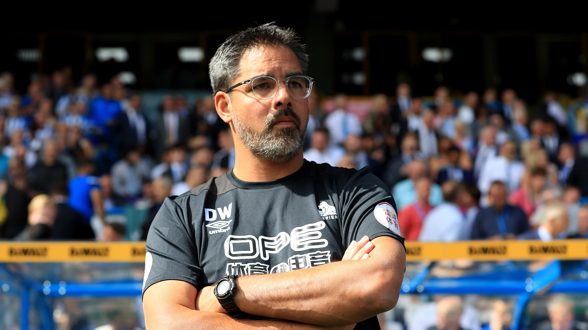 Schalke Appoint Former Huddersfield Manager David Wagner As New Head Coach Goal Com