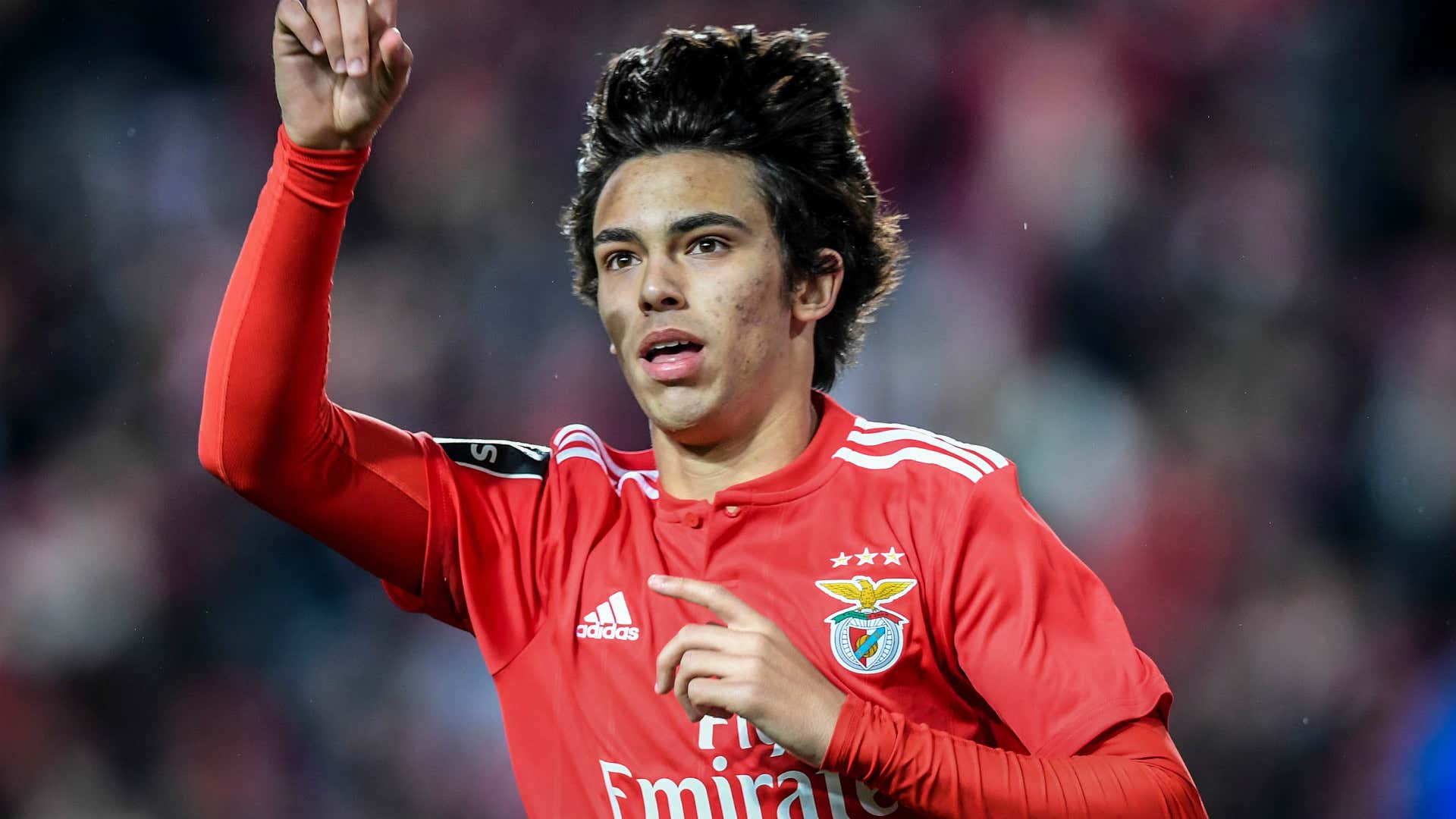 Joao Felix Benfica 2018-19