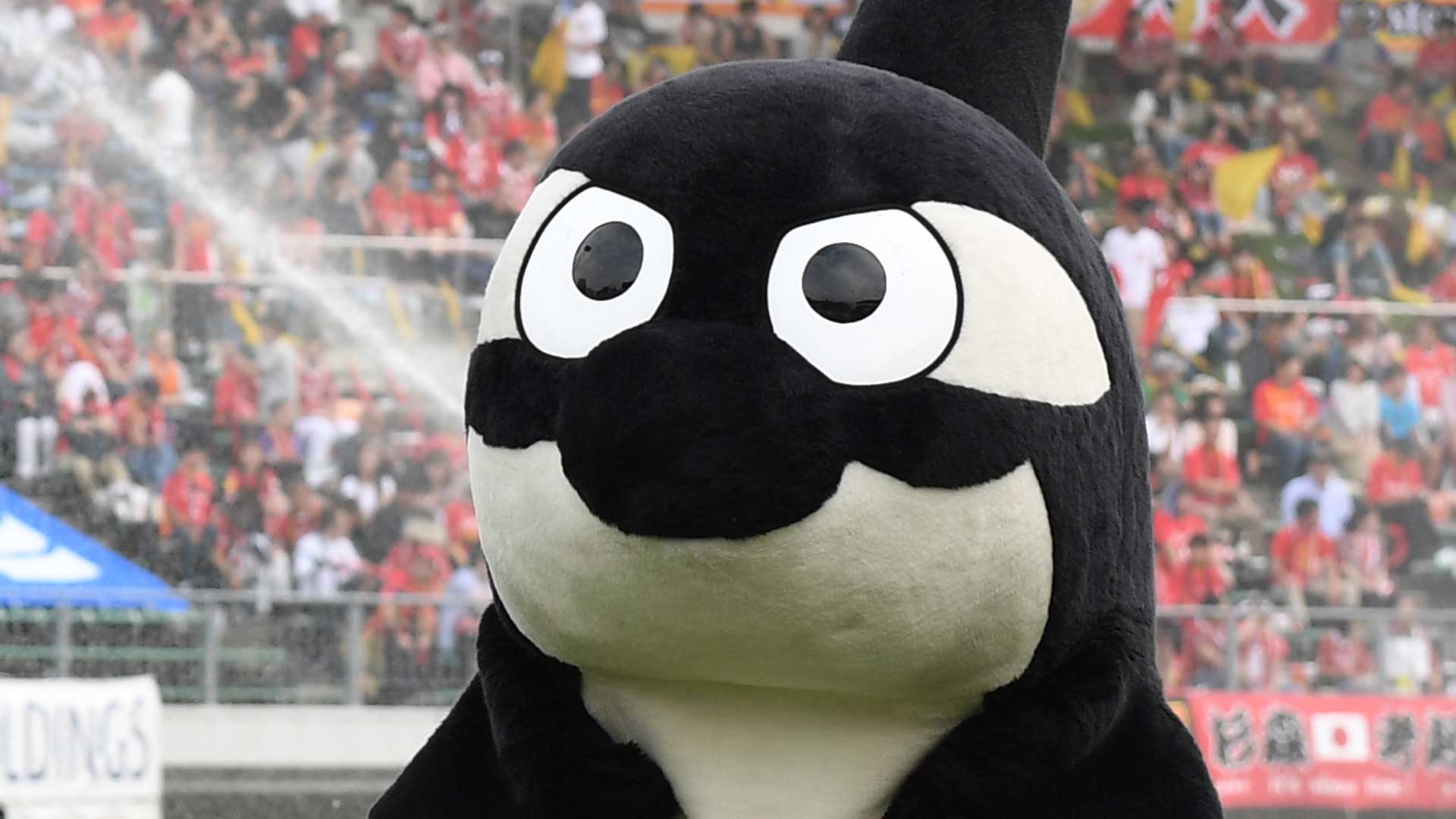 優勝は名古屋のグランパスくん 山口のレノ丸 東京ドロンパが続く Jリーグマスコット総選挙18 Goal Com