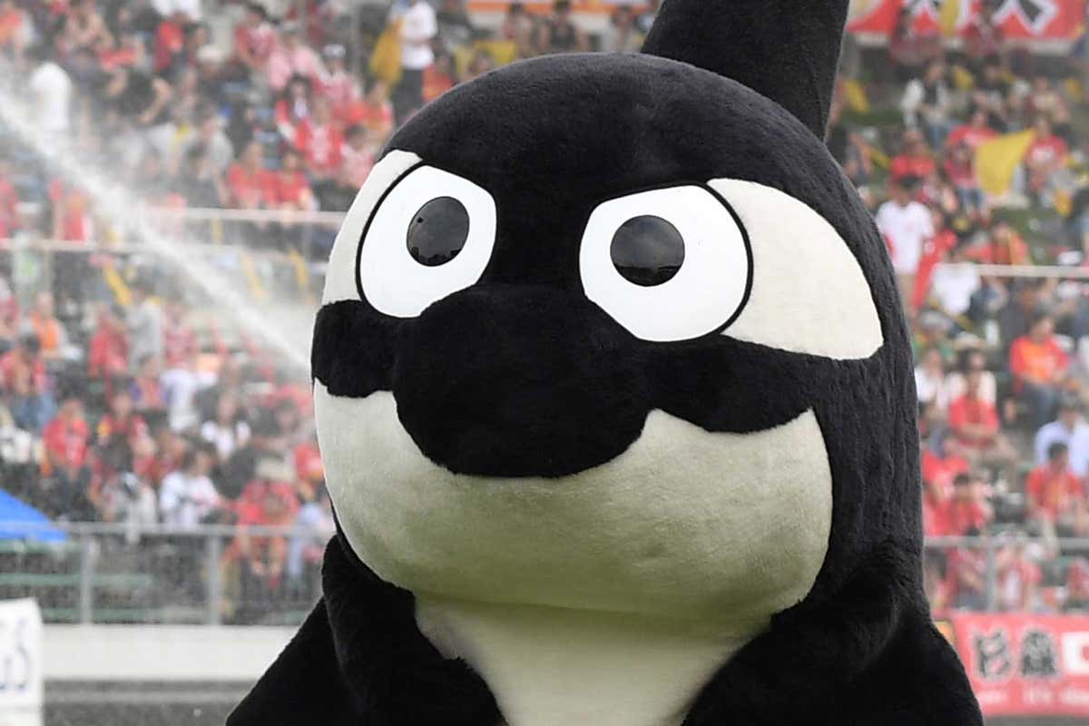 優勝は名古屋のグランパスくん 山口のレノ丸 東京ドロンパが続く Jリーグマスコット総選挙18 Goal Com 優勝は名古屋のグランパスくん 山口のレノ丸 東京ドロンパが続く Jリーグマスコット総選挙18 Goal Com